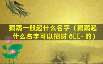 鹦鹉一般起什么名字（鹦鹉起什么名字可以招财 🌷 的）